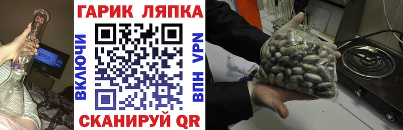 ссылка на мегу онион  Павловская  ГАШ hashish 