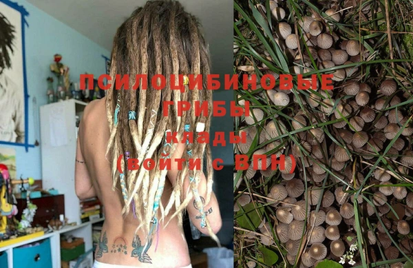 PSILOCYBIN Алексин