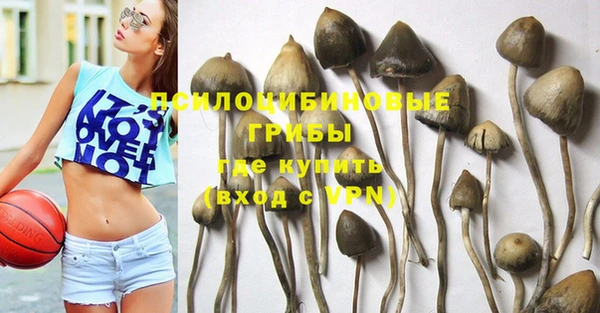 PSILOCYBIN Алексин