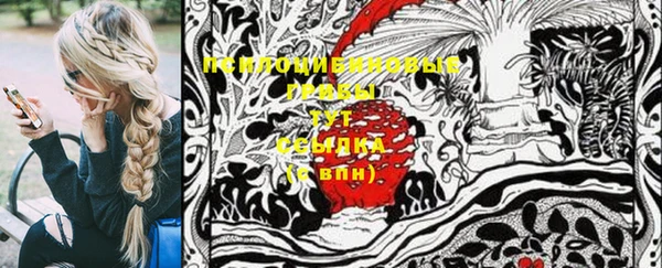 PSILOCYBIN Алексин
